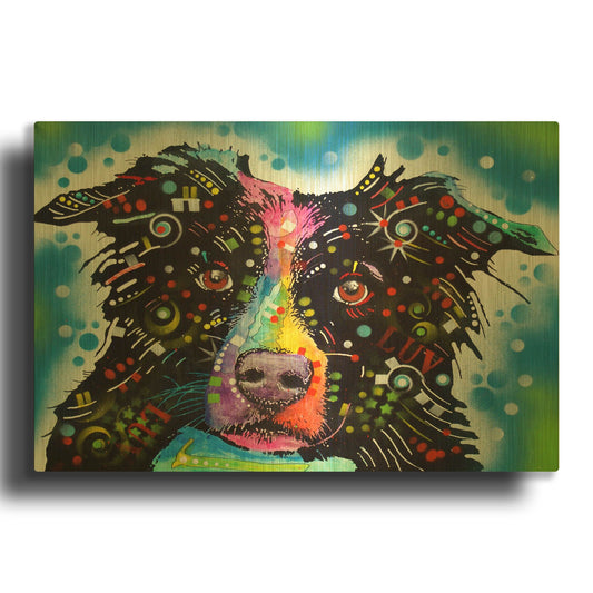 'Border Collie 3' By Dean Russo Gold Metal Wall Art