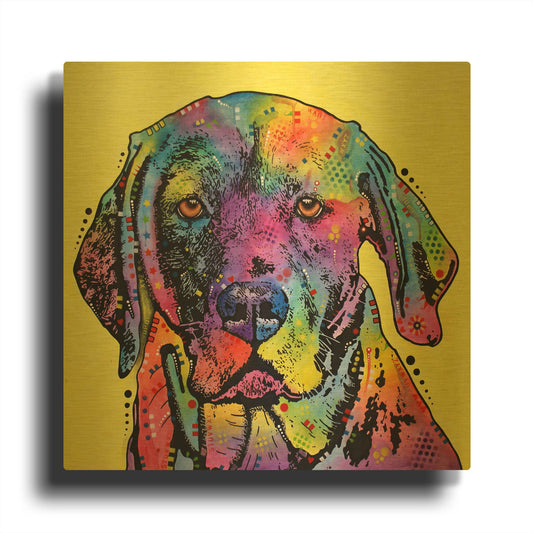 'Fixate Labrador' By Dean Russo Gold Metal Wall Art