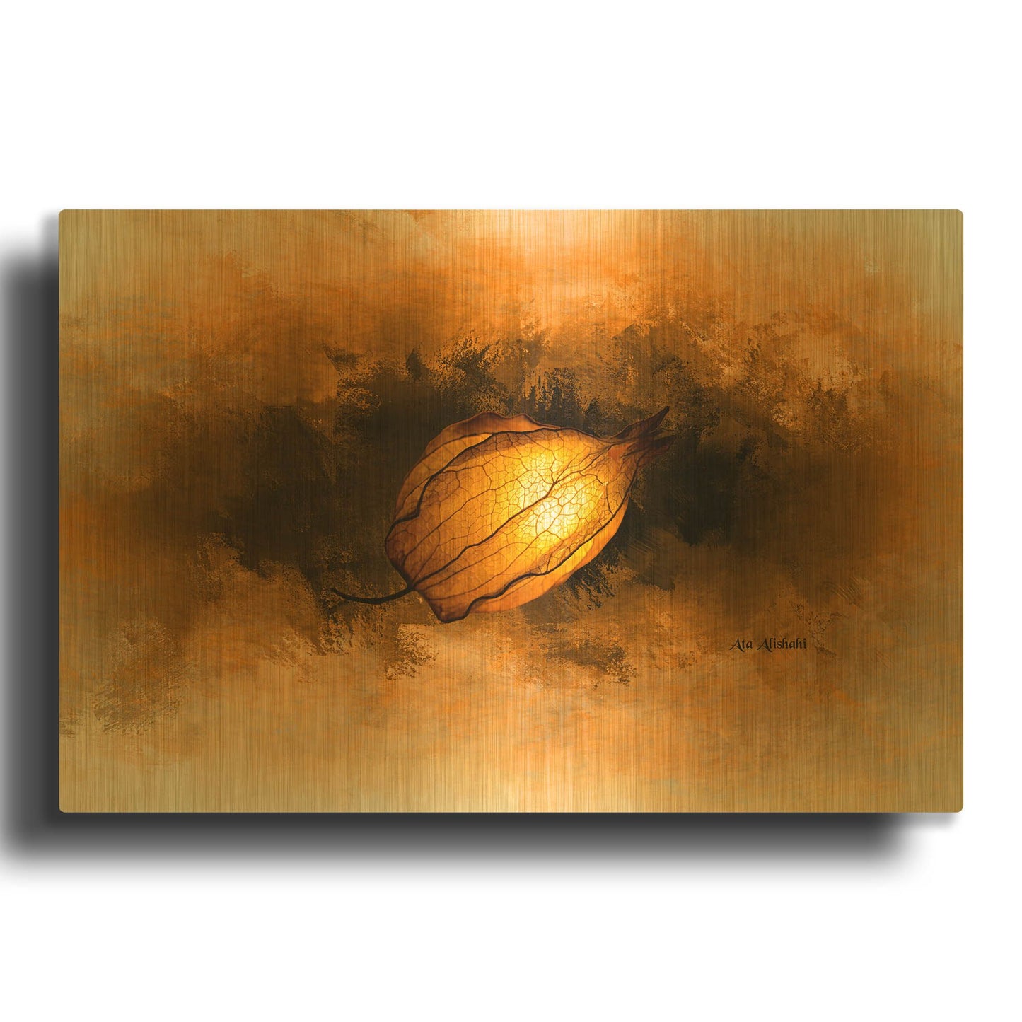 'Seed' By Ata Alishahi Gold Metal Wall Art