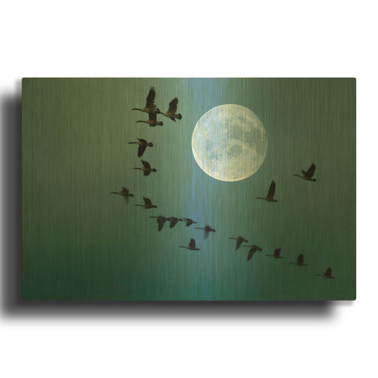 'Fly away' By Ata Alishahi Gold Metal Wall Art