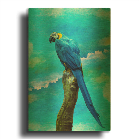 'Blue Parrot' By Ata Alishahi Gold Metal Wall Art