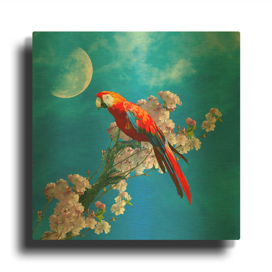 'Red Parrot' By Ata Alishahi Gold Metal Wall Art