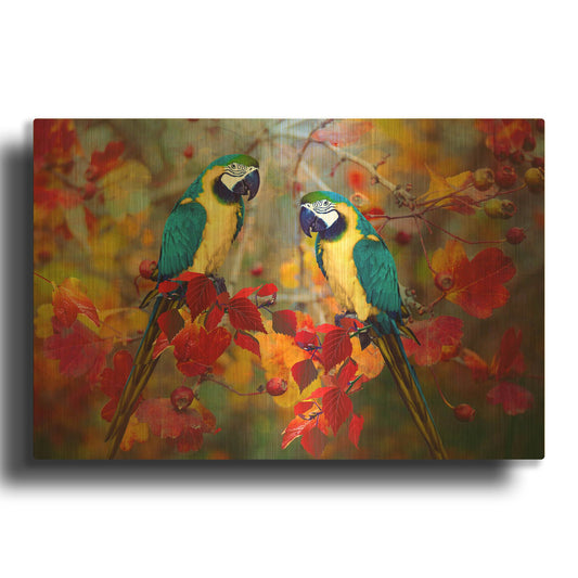 'Bird Collection 19' By Ata Alishahi Gold Metal Wall Art