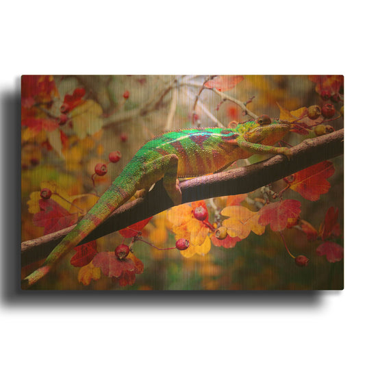 'Chameleons' By Ata Alishahi Gold Metal Wall Art