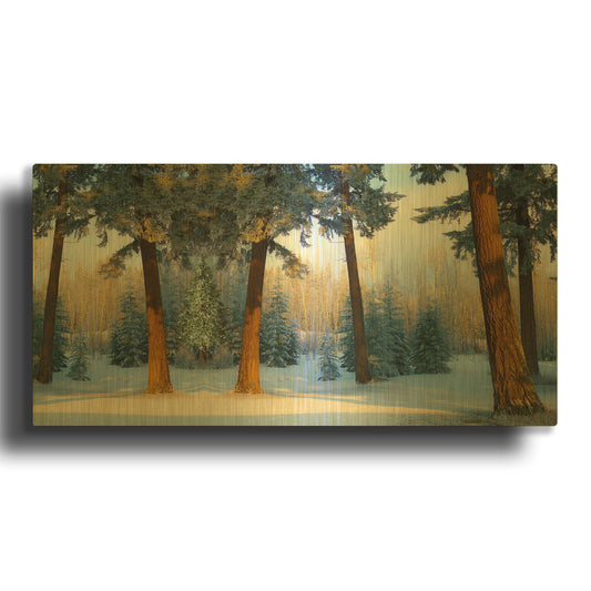 'Nature Collection 23' By Ata Alishahi Gold Metal Wall Art