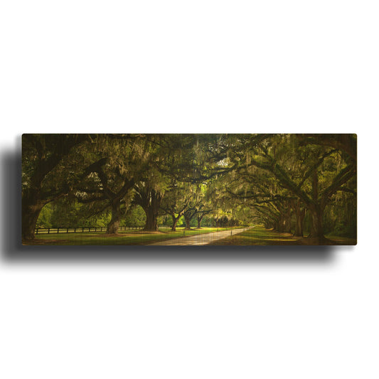 'Southern Canopy' By Natalie Mikaels Gold Metal Wall Art