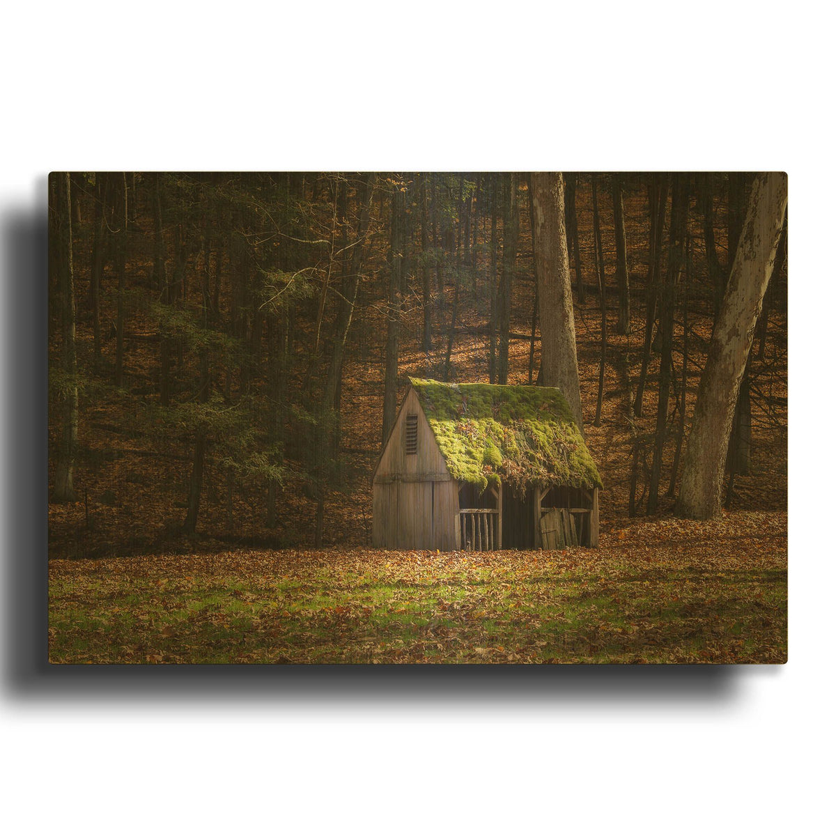 'Rustic Glow' By Natalie Mikaels Gold Metal Wall Art