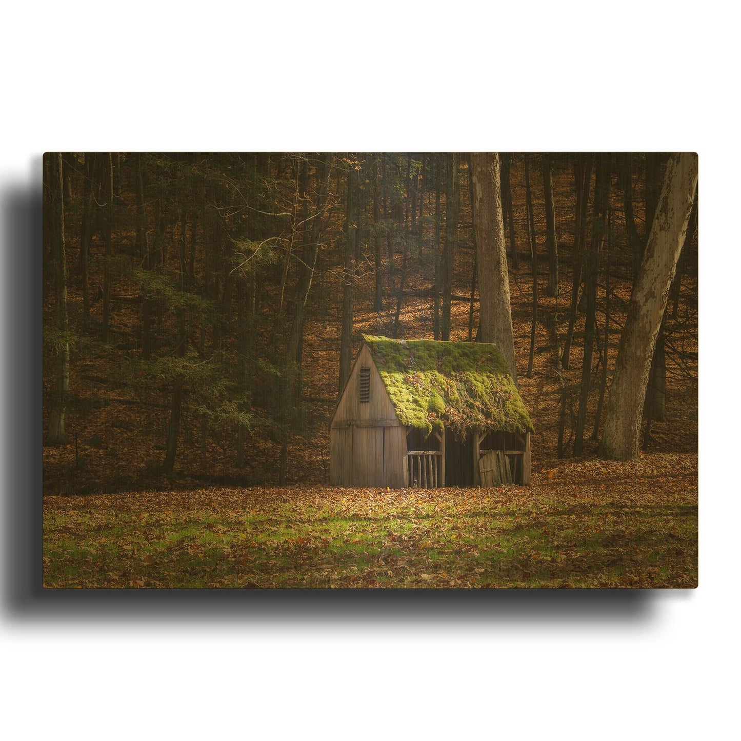 'Rustic Glow' By Natalie Mikaels Gold Metal Wall Art