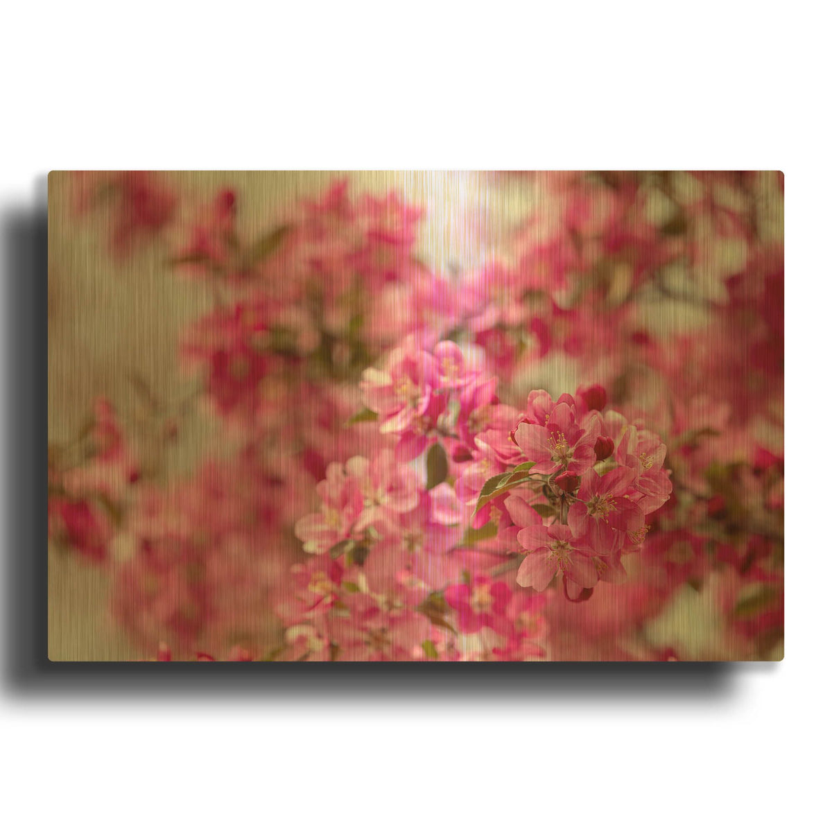 'Pink Floral' By AKG Gold Metal Wall Art