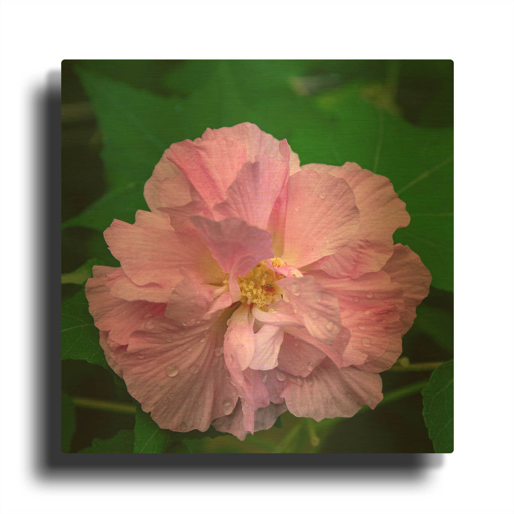 'Flower' By AKG Gold Metal Wall Art