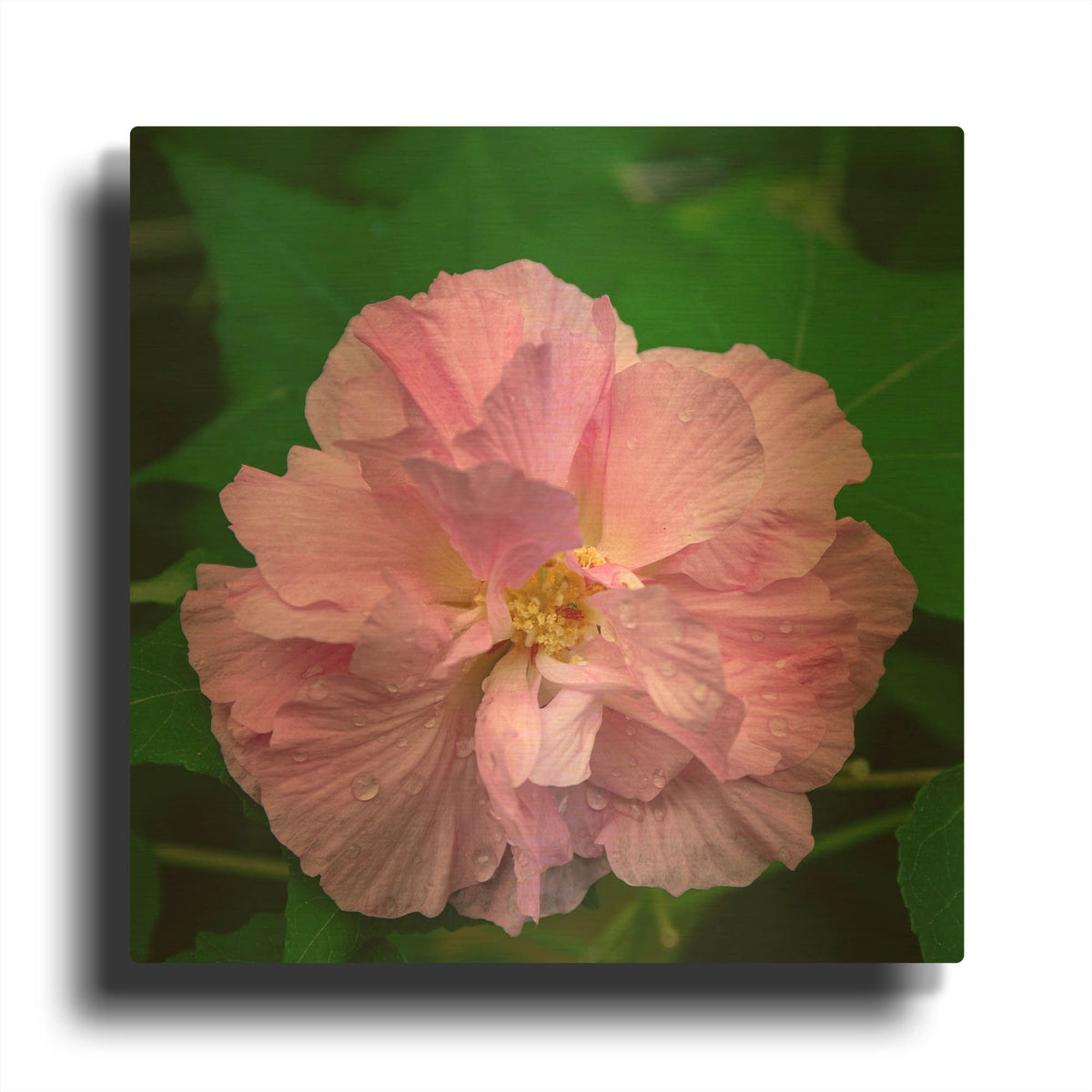 'Flower' By AKG Gold Metal Wall Art