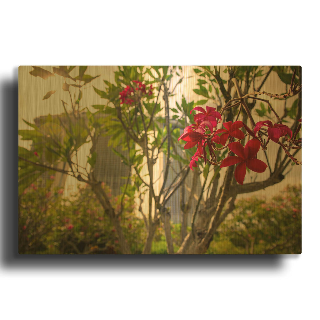 'Singapore Flower' By AKG Gold Metal Wall Art