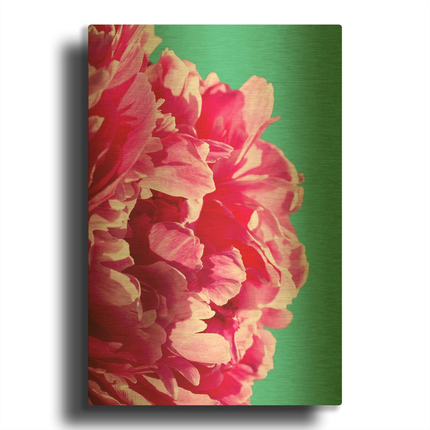 'Pink Peony G844D RAW' By Lexie Greer Gold Metal Wall Art
