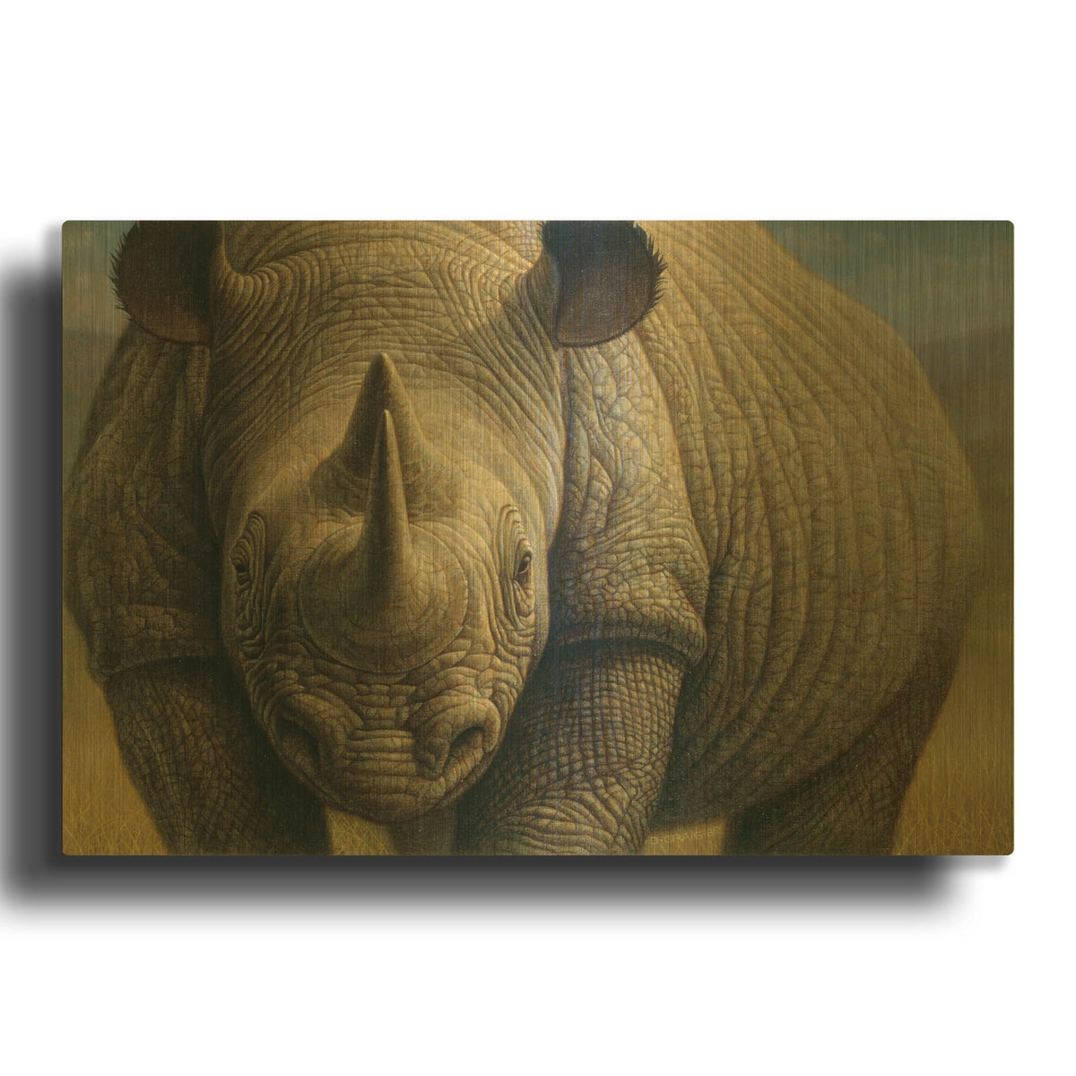 'Rhinos' By Dan Craig Gold Metal Wall Art