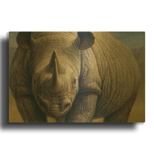 'Rhinos' By Dan Craig Gold Metal Wall Art