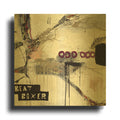 'Boxer' By Punk Gold Metal Wall Art