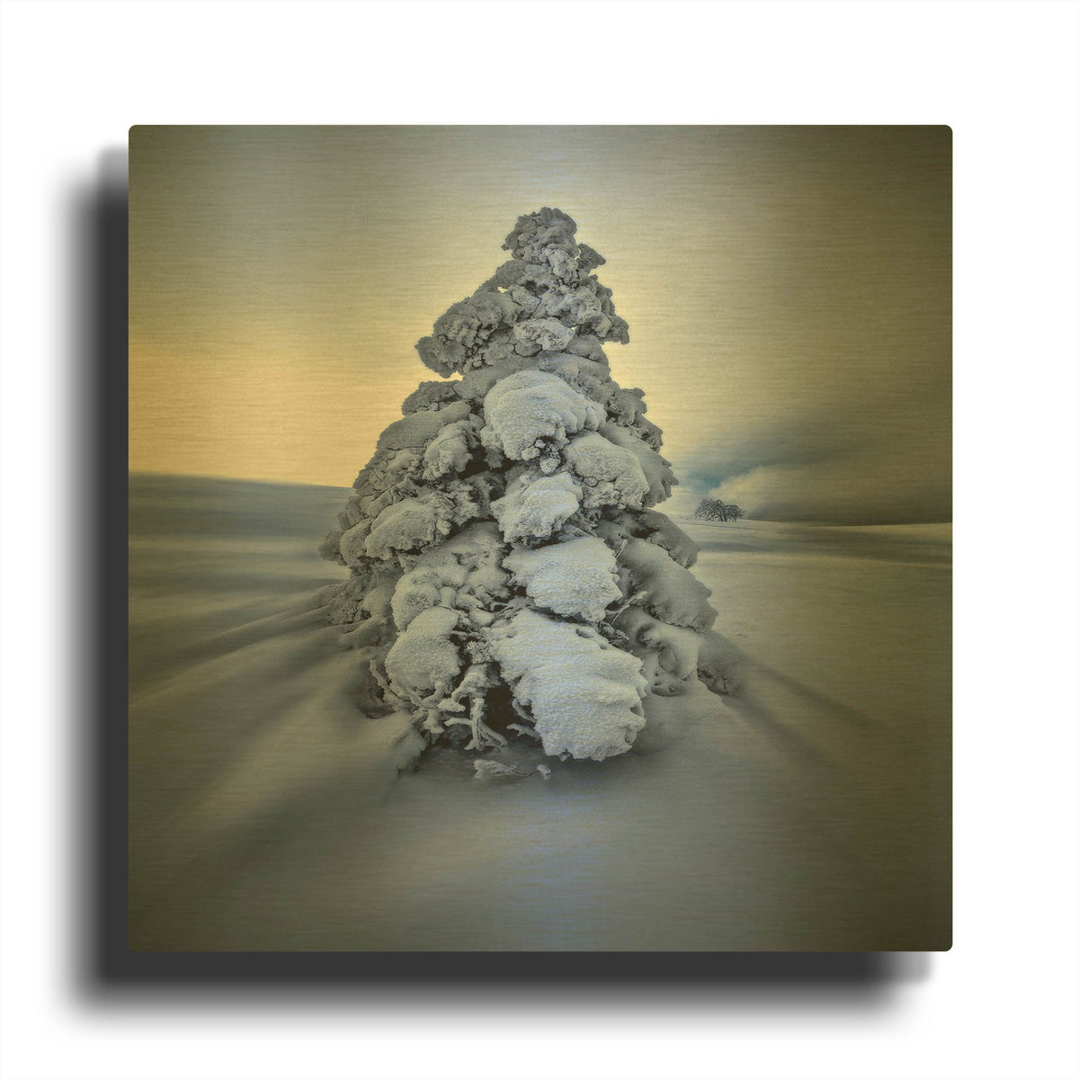 'And the Wind Blows' By Philippe Sainte Gold Metal Wall Art
