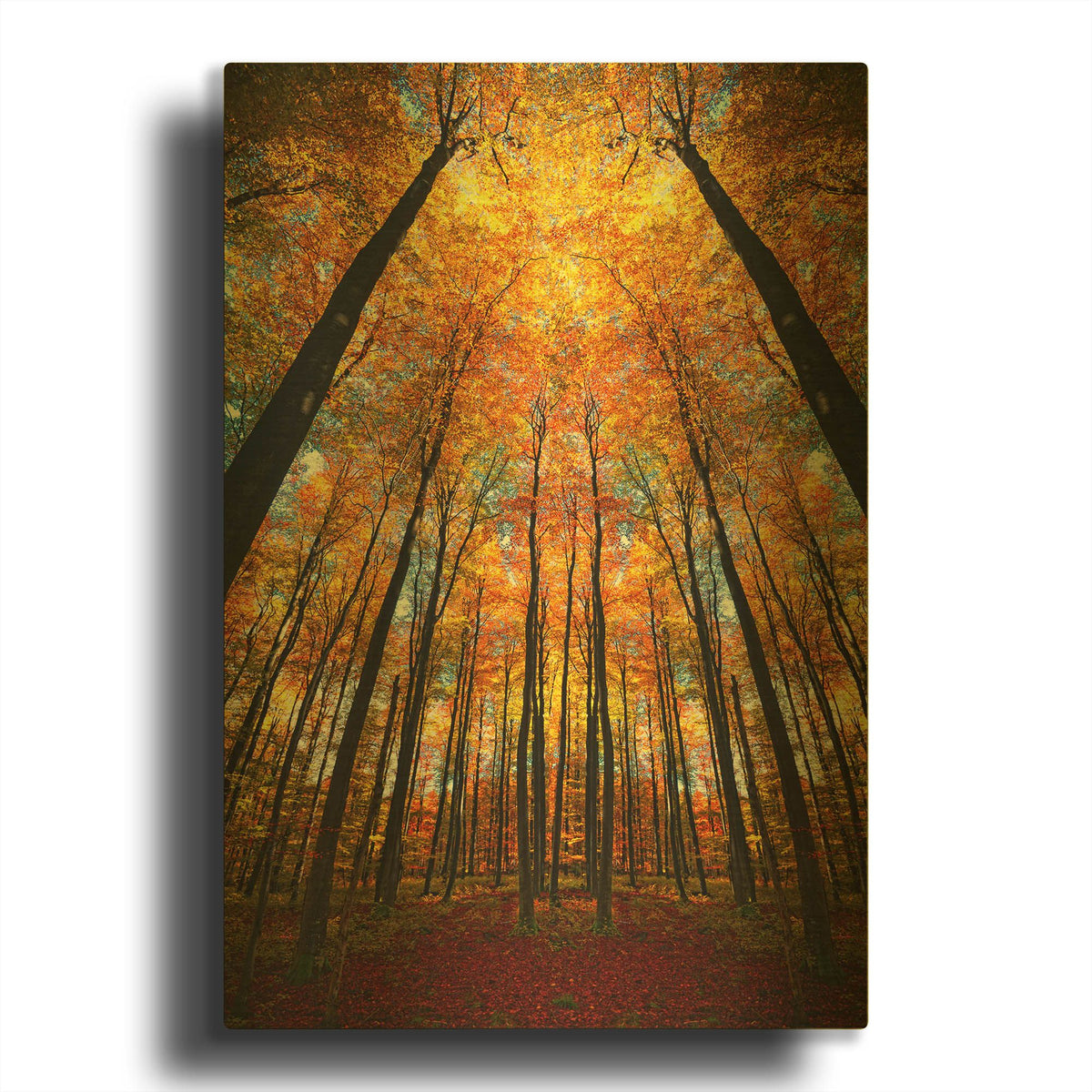 'Beginning of Autumn' By Philippe Sainte Gold Metal Wall Art