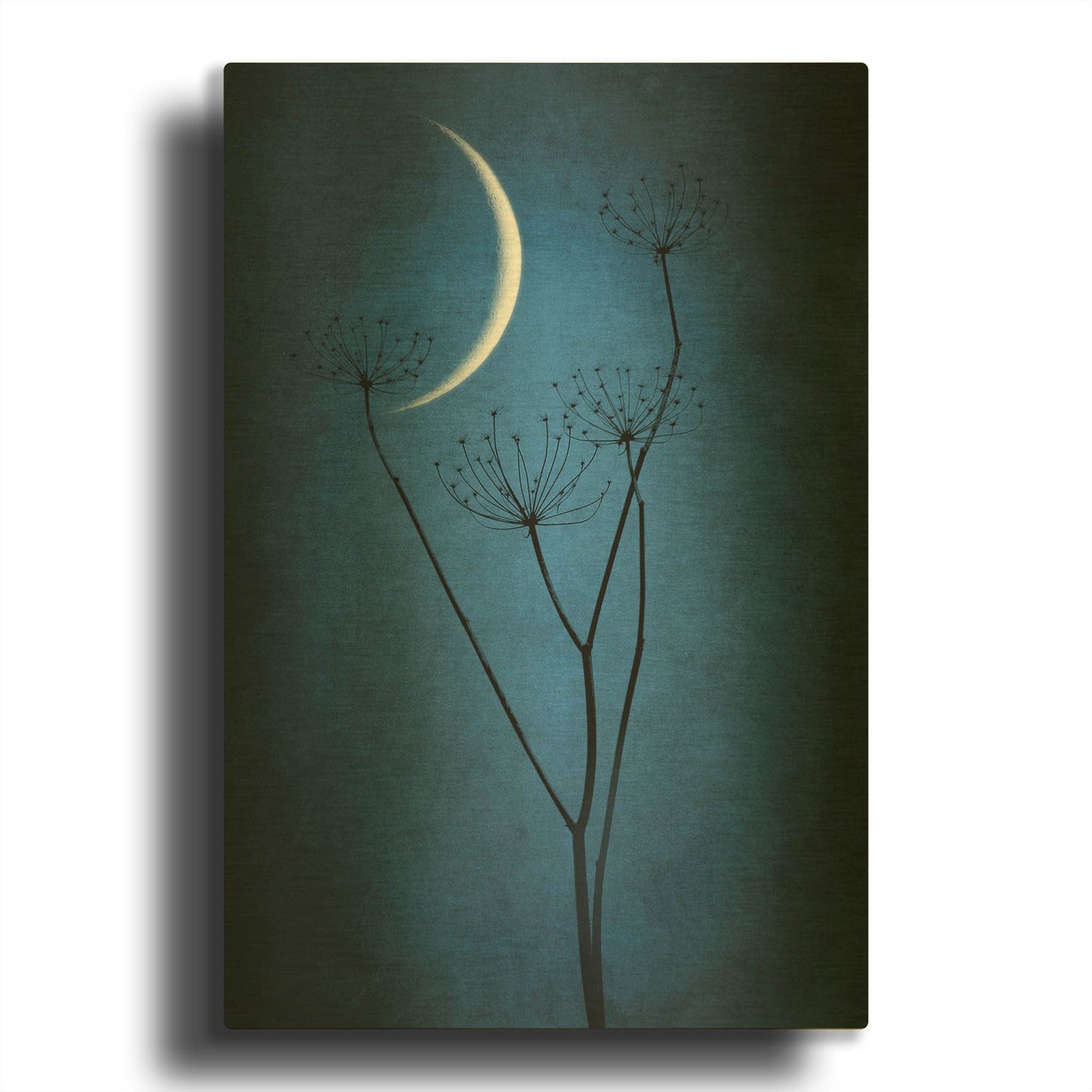 'Blue Crescent Moon' By Philippe Sainte Gold Metal Wall Art