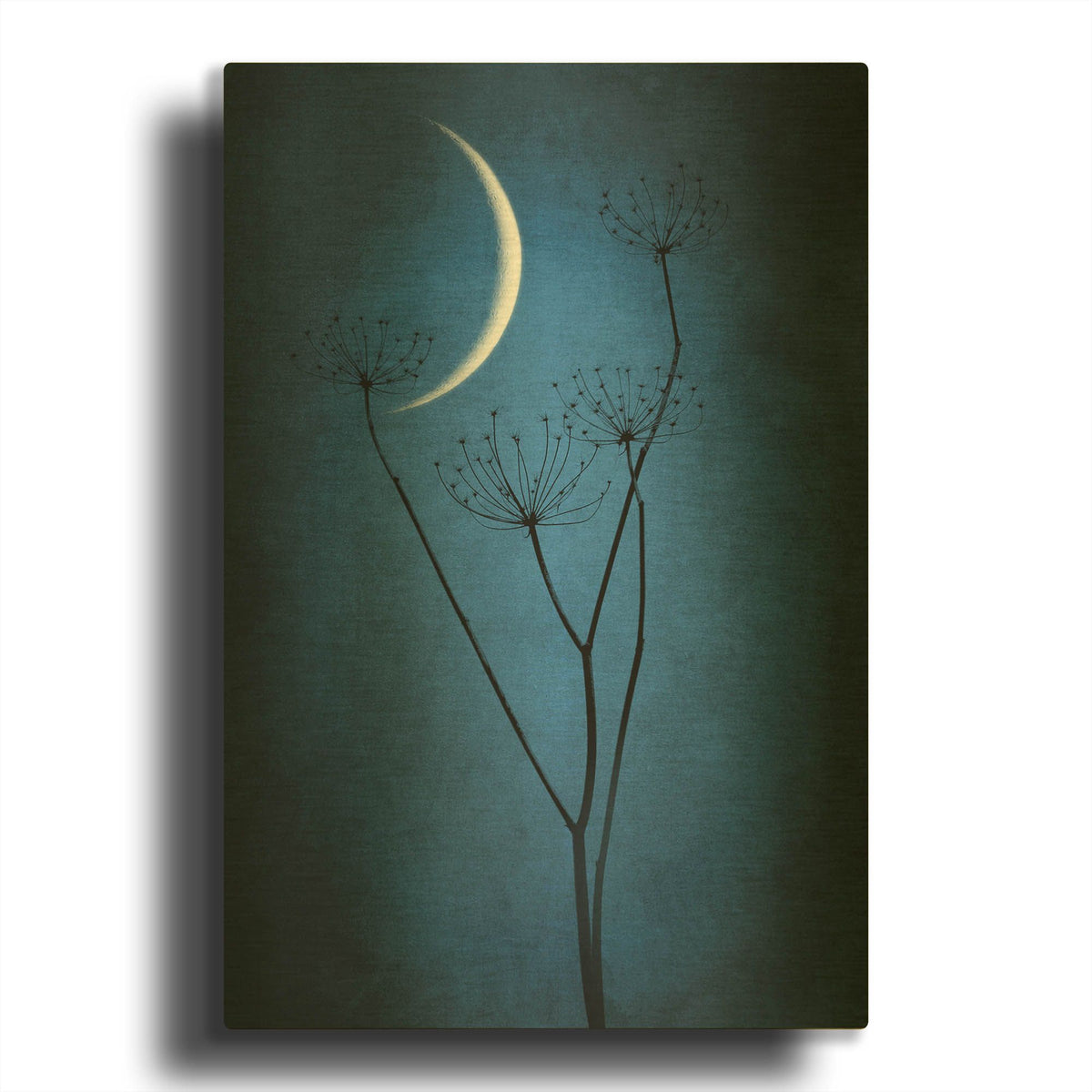 'Blue Crescent Moon' By Philippe Sainte Gold Metal Wall Art