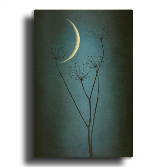 'Blue Crescent Moon' By Philippe Sainte Gold Metal Wall Art