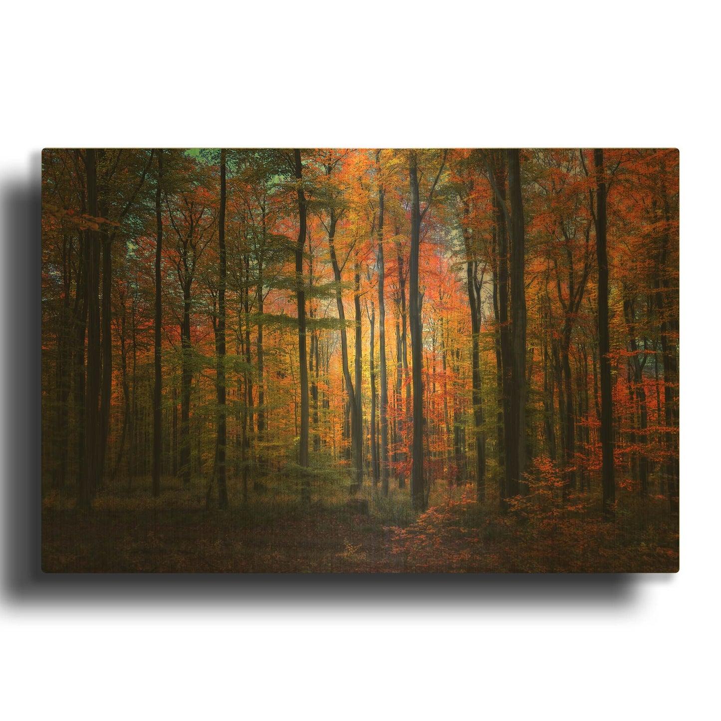 'Crayons de Couleur' By Philippe Sainte Gold Metal Wall Art