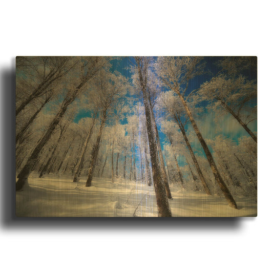 'Crystal Vision' By Philippe Sainte Gold Metal Wall Art