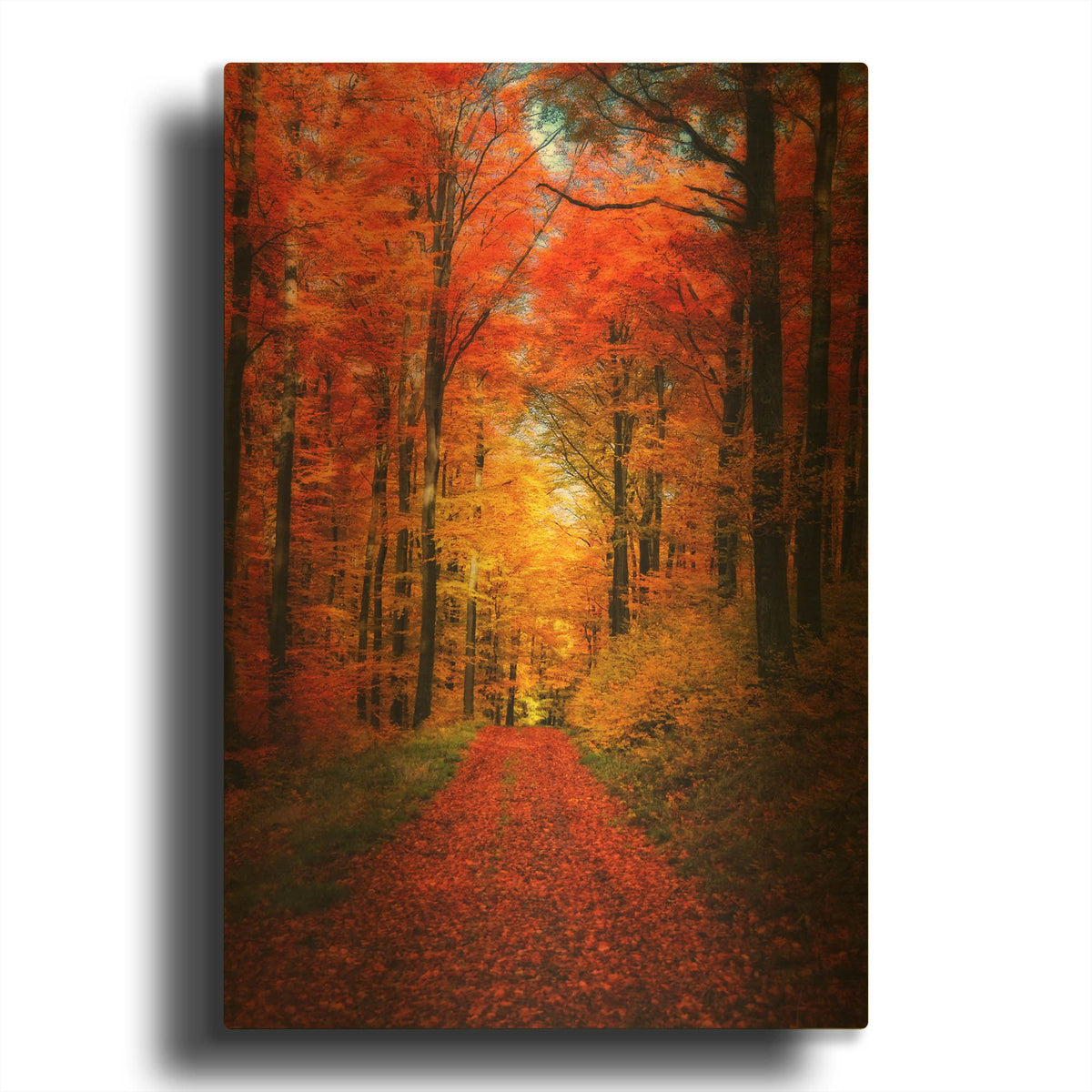 'Forest Garden' By Philippe Sainte Gold Metal Wall Art