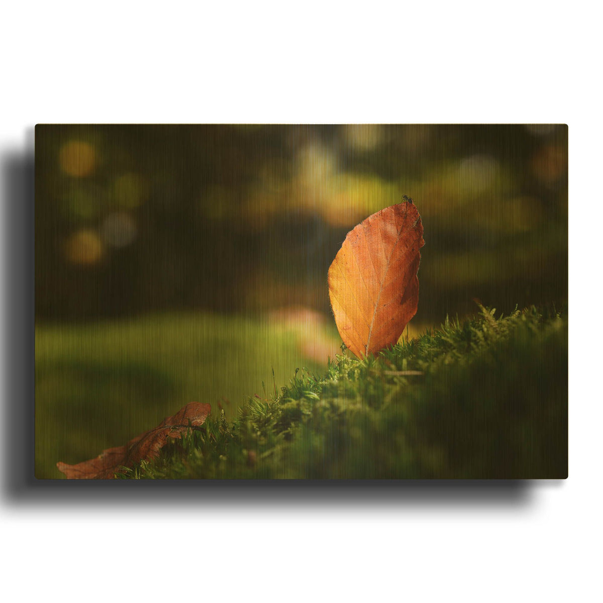 'Leaf and Ant' By Philippe Sainte Gold Metal Wall Art