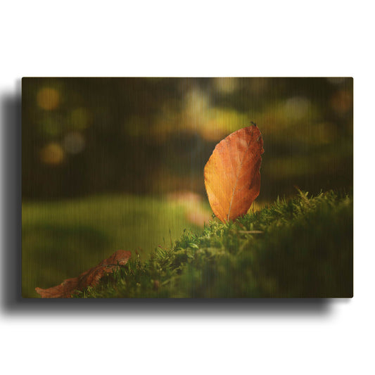 'Leaf and Ant' By Philippe Sainte Gold Metal Wall Art