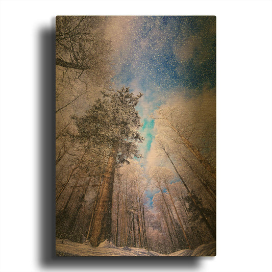 'Let it snow' By Philippe Sainte Gold Metal Wall Art