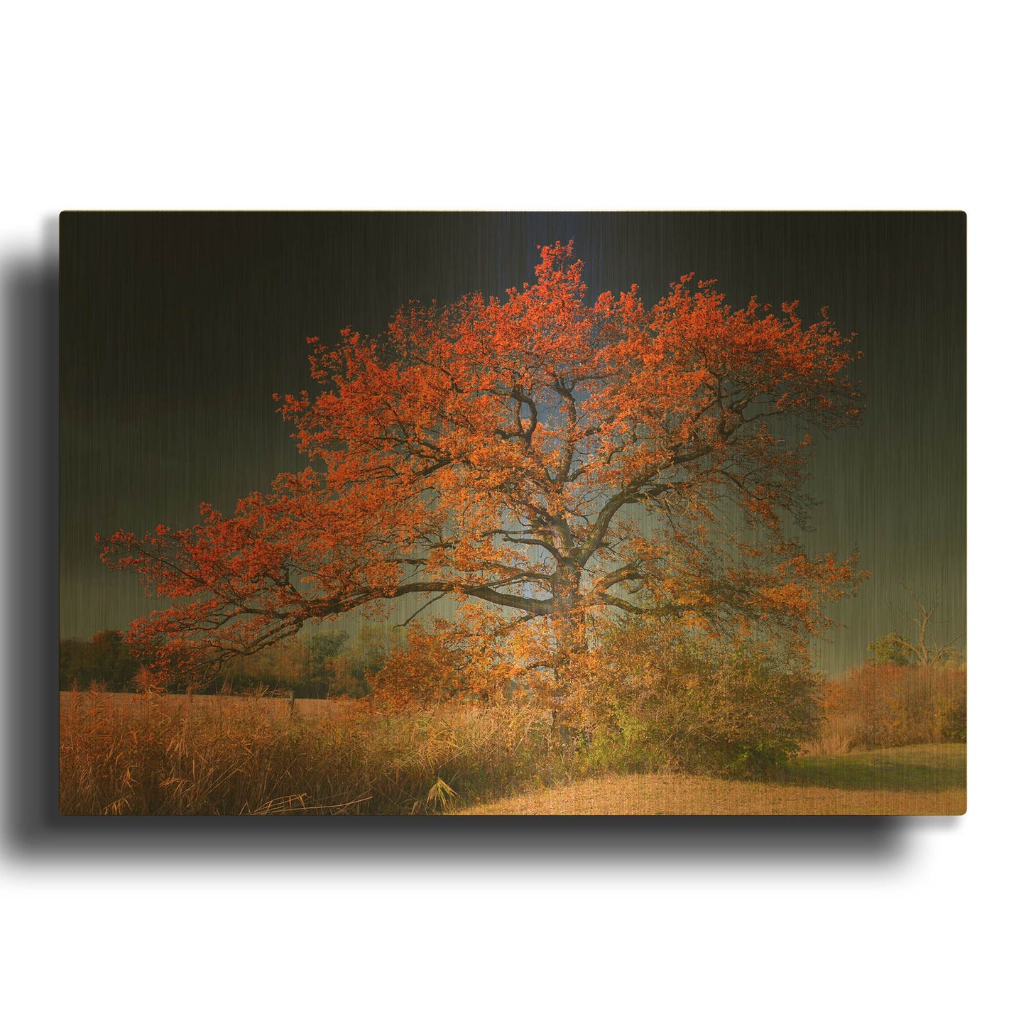 'Melancholy Tree' By Philippe Sainte Gold Metal Wall Art
