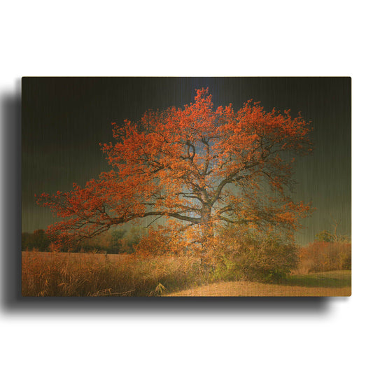 'Melancholy Tree' By Philippe Sainte Gold Metal Wall Art