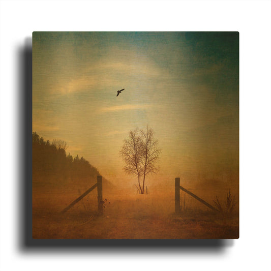 'Open Space' By Philippe Sainte Gold Metal Wall Art