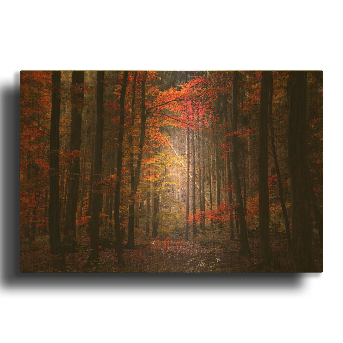 'Orton Wood' By Philippe Sainte Gold Metal Wall Art