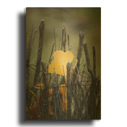 'Prisoner Fall' By Philippe Sainte Gold Metal Wall Art