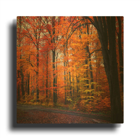 'Rainbow Fall' By Philippe Sainte Gold Metal Wall Art