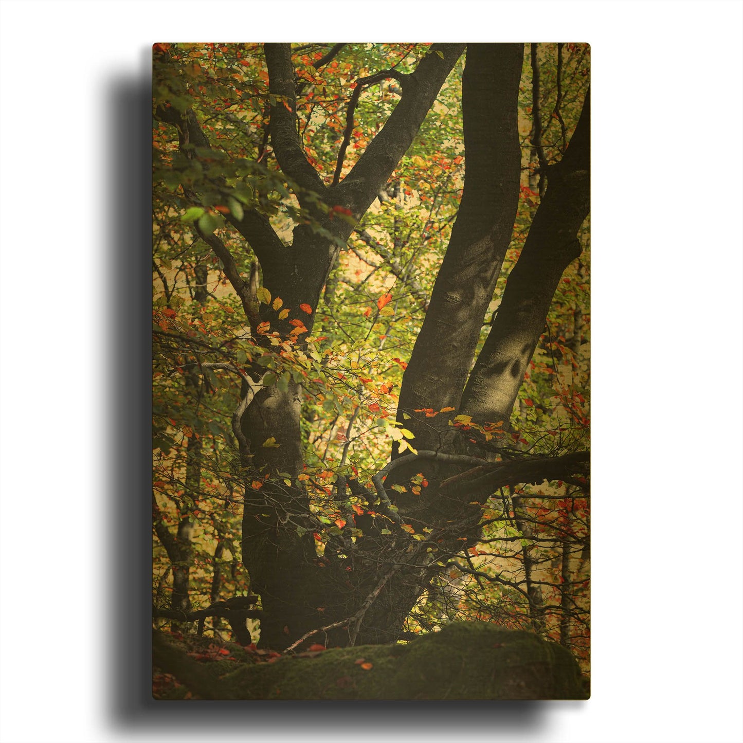 'Red Confetti' By Philippe Sainte Gold Metal Wall Art