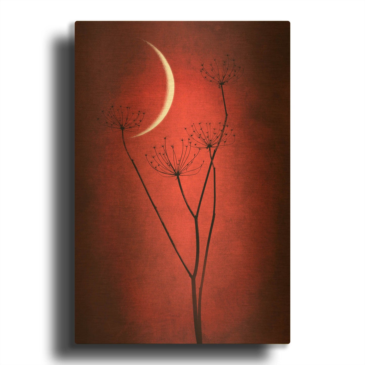 'Red Crescent Moon' By Philippe Sainte Gold Metal Wall Art