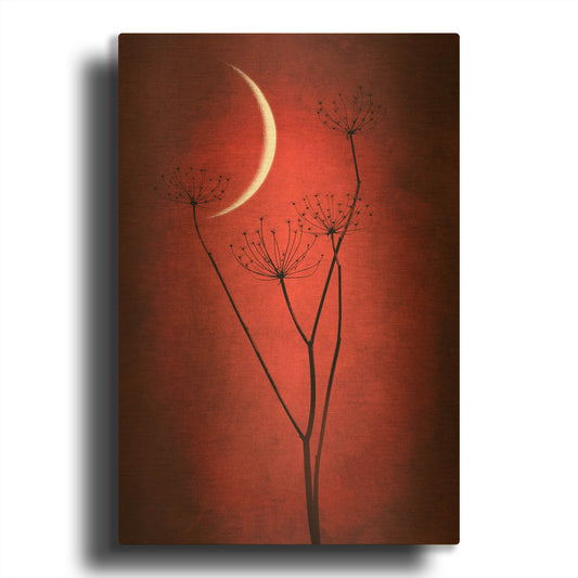 'Red Crescent Moon' By Philippe Sainte Gold Metal Wall Art