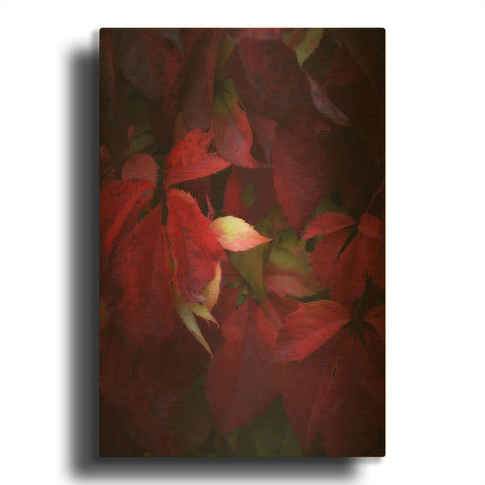 'Red Velvet' By Philippe Sainte Gold Metal Wall Art