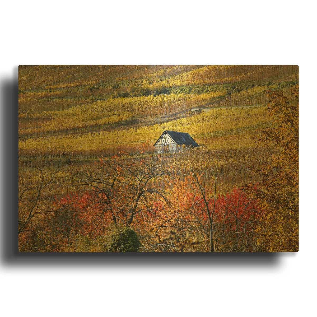 'The House of Vines' By Philippe Sainte Gold Metal Wall Art
