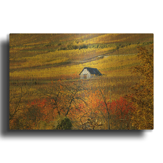 'The House of Vines' By Philippe Sainte Gold Metal Wall Art