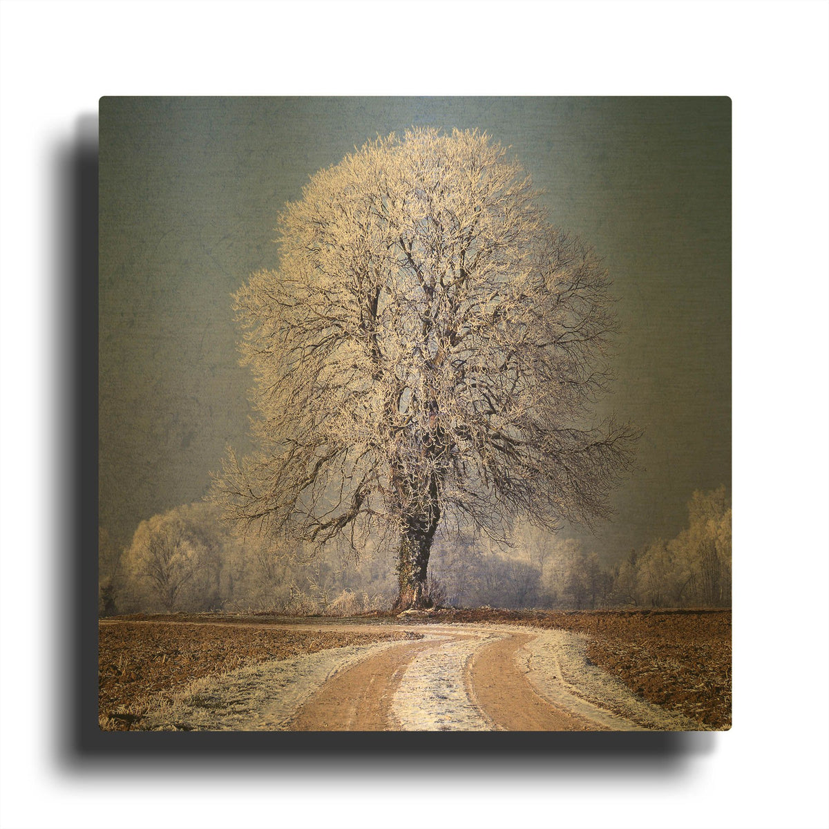 'The Sounds Of Silence' By Philippe Sainte Gold Metal Wall Art