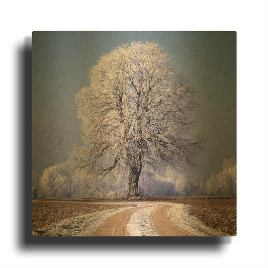 'The Sounds Of Silence' By Philippe Sainte Gold Metal Wall Art