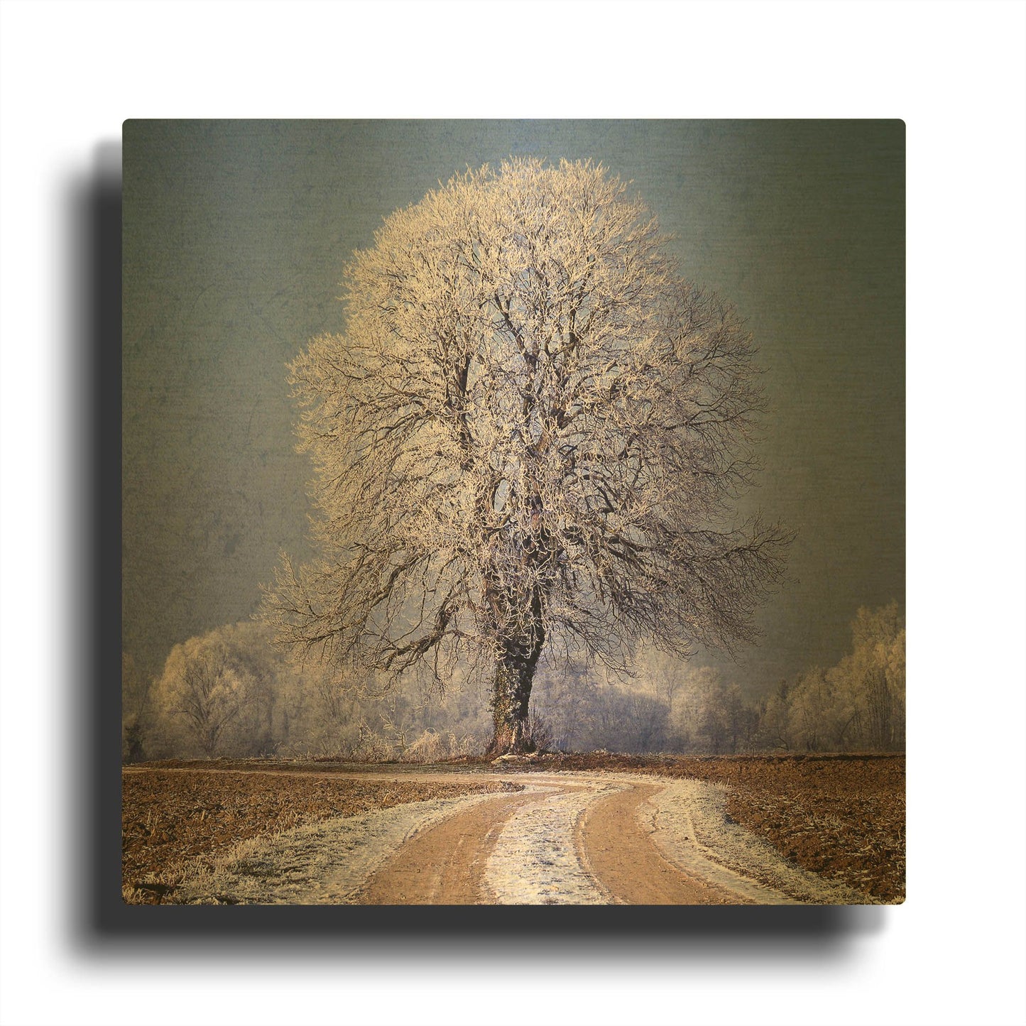 'The Sounds Of Silence' By Philippe Sainte Gold Metal Wall Art