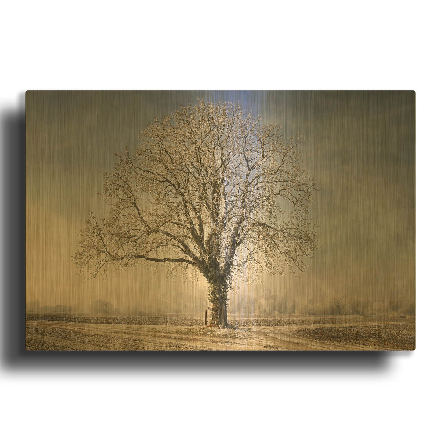 'The Tree Fairy Tale' By Philippe Sainte Gold Metal Wall Art