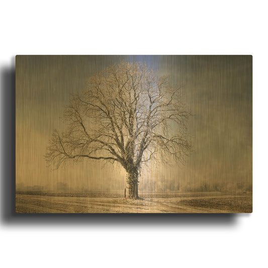 'The Tree Fairy Tale' By Philippe Sainte Gold Metal Wall Art