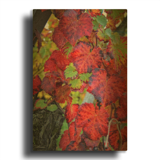 'Velvet Leaves' By Philippe Sainte Gold Metal Wall Art