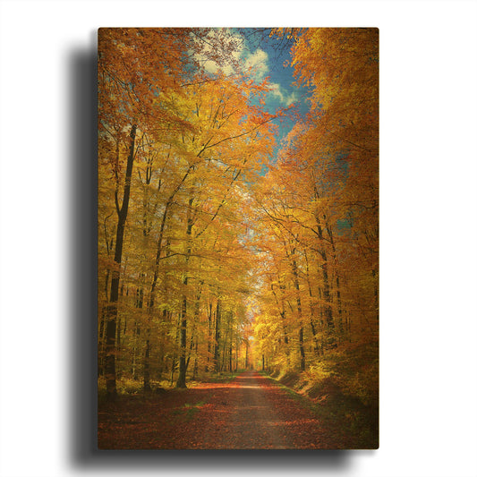 'Way to Fall' By Philippe Sainte Gold Metal Wall Art
